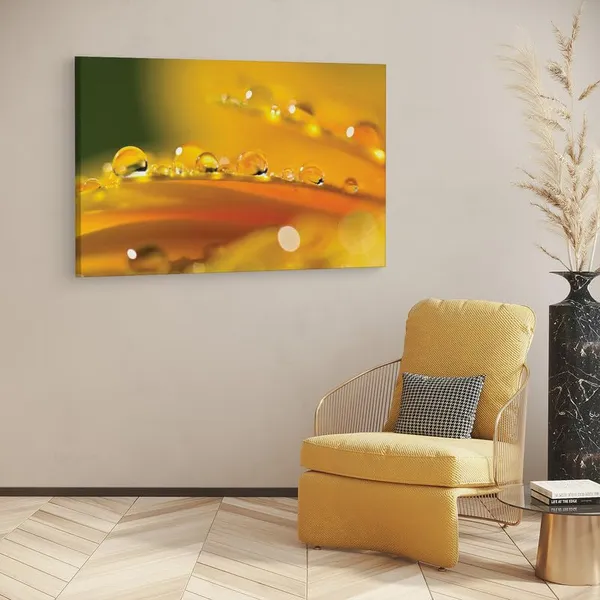 Multicolor_16_X_24_Inch,_Pine_Wood_Framed_Canvas_Paintings_|_For_Home_Decor,_Ready_To_Wall_Hanging,_Premium_Painting_|_For_|_Bedroom,_Living_Room,_Office_Wall_Decoration_|_Wall_Art_Painting,_Ct1573
