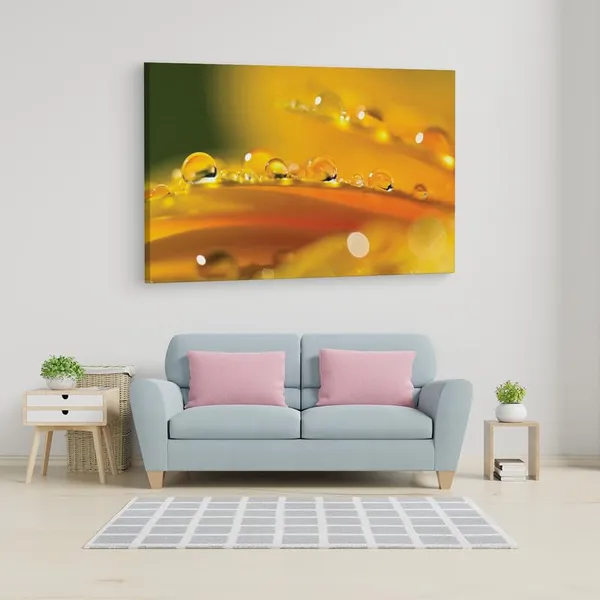 Multicolor_16_X_24_Inch,_Pine_Wood_Framed_Canvas_Paintings_|_For_Home_Decor,_Ready_To_Wall_Hanging,_Premium_Painting_|_For_|_Bedroom,_Living_Room,_Office_Wall_Decoration_|_Wall_Art_Painting,_Ct1573