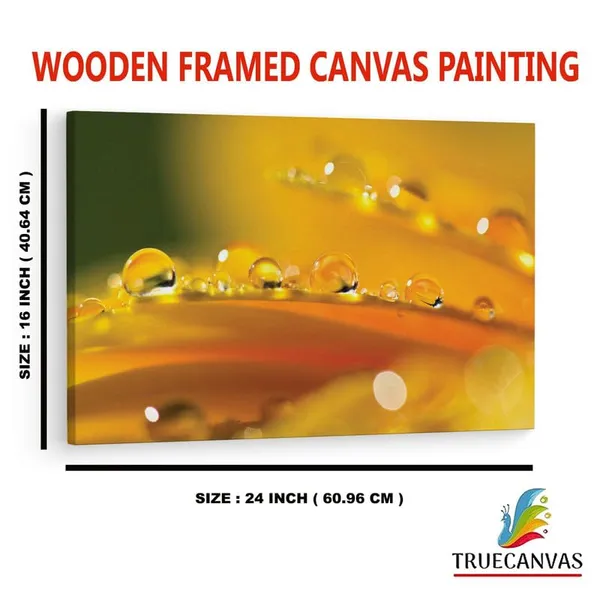 Multicolor_16_X_24_Inch,_Pine_Wood_Framed_Canvas_Paintings_|_For_Home_Decor,_Ready_To_Wall_Hanging,_Premium_Painting_|_For_|_Bedroom,_Living_Room,_Office_Wall_Decoration_|_Wall_Art_Painting,_Ct1573