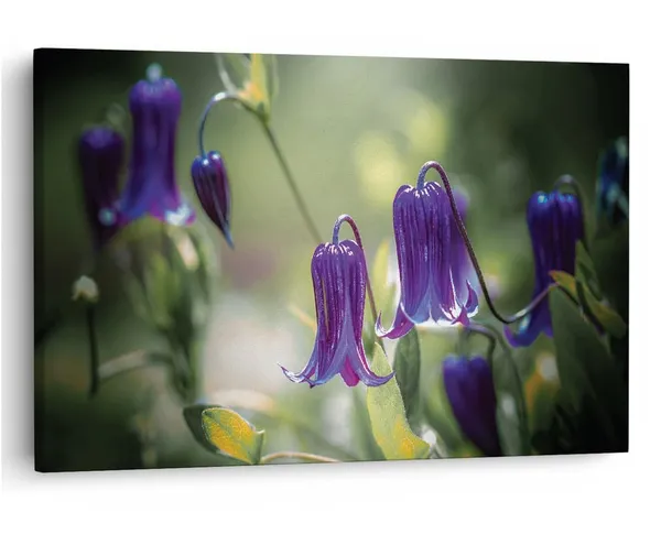 Multicolor_16_X_24_Inch,_Pine_Wood_Framed_Canvas_Paintings_|_For_Home_Decor,_Ready_To_Wall_Hanging,_Premium_Painting_|_For_|_Bedroom,_Living_Room,_Office_Wall_Decoration_|_Wall_Art_Painting,_Ct1574