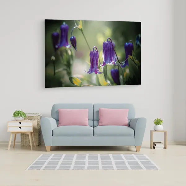 Multicolor_16_X_24_Inch,_Pine_Wood_Framed_Canvas_Paintings_|_For_Home_Decor,_Ready_To_Wall_Hanging,_Premium_Painting_|_For_|_Bedroom,_Living_Room,_Office_Wall_Decoration_|_Wall_Art_Painting,_Ct1574