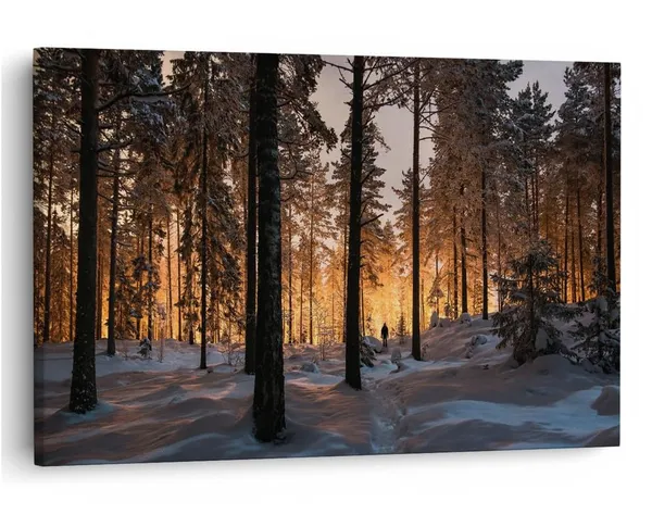 Multicolor_16_X_24_Inch,_Pine_Wood_Framed_Canvas_Paintings_|_For_Home_Decor,_Ready_To_Wall_Hanging,_Premium_Painting_|_For_|_Bedroom,_Living_Room,_Office_Wall_Decoration_|_Wall_Art_Painting,_Ct1575