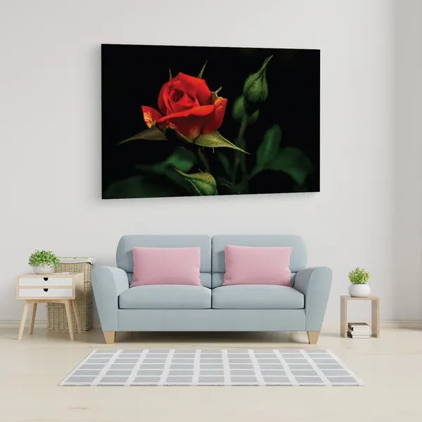 Multicolor_16_X_24_Inch,_Pine_Wood_Framed_Canvas_Paintings_|_For_Home_Decor,_Ready_To_Wall_Hanging,_Premium_Painting_|_For_|_Bedroom,_Living_Room,_Office_Wall_Decoration_|_Wall_Art_Painting,_Ct1576