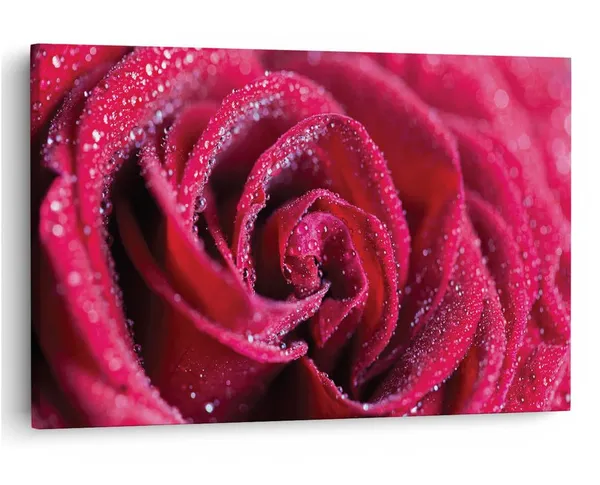 Multicolor_16_X_24_Inch,_Pine_Wood_Framed_Canvas_Paintings_|_For_Home_Decor,_Ready_To_Wall_Hanging,_Premium_Painting_|_For_|_Bedroom,_Living_Room,_Office_Wall_Decoration_|_Wall_Art_Painting,_Ct1579