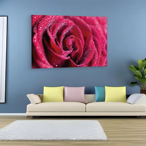 Multicolor_16_X_24_Inch,_Pine_Wood_Framed_Canvas_Paintings_|_For_Home_Decor,_Ready_To_Wall_Hanging,_Premium_Painting_|_For_|_Bedroom,_Living_Room,_Office_Wall_Decoration_|_Wall_Art_Painting,_Ct1579