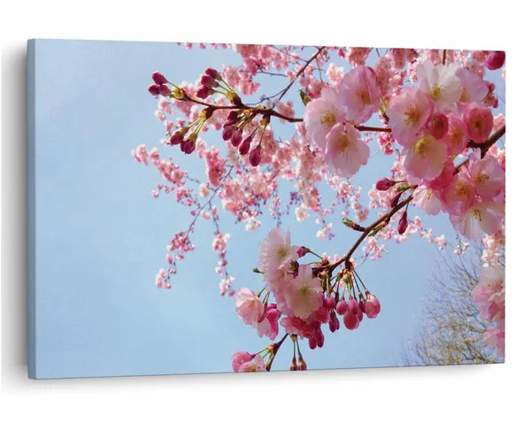 Multicolor_16_X_24_Inch,_Pine_Wood_Framed_Canvas_Paintings_|_For_Home_Decor,_Ready_To_Wall_Hanging,_Premium_Painting_|_For_|_Bedroom,_Living_Room,_Office_Wall_Decoration_|_Wall_Art_Painting,_Ct1581
