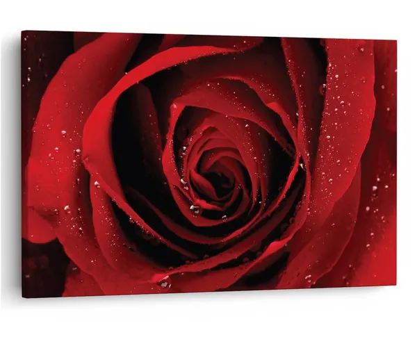 Multicolor_16_X_24_Inch,_Pine_Wood_Framed_Canvas_Paintings_|_For_Home_Decor,_Ready_To_Wall_Hanging,_Premium_Painting_|_For_|_Bedroom,_Living_Room,_Office_Wall_Decoration_|_Wall_Art_Painting,_Ct1583