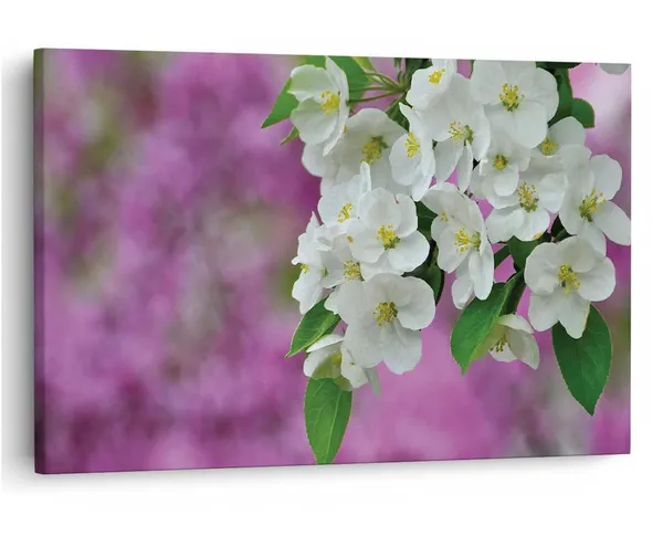 Multicolor_16_X_24_Inch,_Pine_Wood_Framed_Canvas_Paintings_|_For_Home_Decor,_Ready_To_Wall_Hanging,_Premium_Painting_|_For_|_Bedroom,_Living_Room,_Office_Wall_Decoration_|_Wall_Art_Painting,_Ct1584