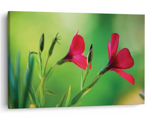 Multicolor_16_X_24_Inch,_Pine_Wood_Framed_Canvas_Paintings_|_For_Home_Decor,_Ready_To_Wall_Hanging,_Premium_Painting_|_For_|_Bedroom,_Living_Room,_Office_Wall_Decoration_|_Wall_Art_Painting,_Ct1585