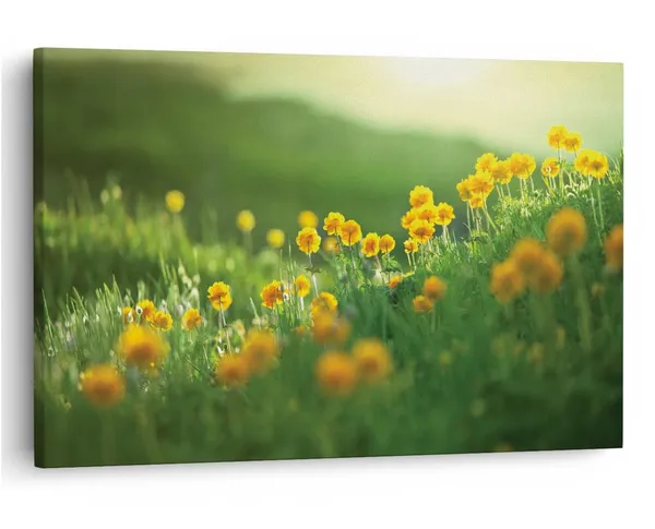 Multicolor_16_X_24_Inch,_Pine_Wood_Framed_Canvas_Paintings_|_For_Home_Decor,_Ready_To_Wall_Hanging,_Premium_Painting_|_For_|_Bedroom,_Living_Room,_Office_Wall_Decoration_|_Wall_Art_Painting,_Ct1587