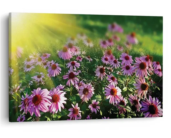 Multicolor_16_X_24_Inch,_Pine_Wood_Framed_Canvas_Paintings_|_For_Home_Decor,_Ready_To_Wall_Hanging,_Premium_Painting_|_For_|_Bedroom,_Living_Room,_Office_Wall_Decoration_|_Wall_Art_Painting,_Ct1592