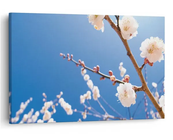 Multicolor_16_X_24_Inch,_Pine_Wood_Framed_Canvas_Paintings_|_For_Home_Decor,_Ready_To_Wall_Hanging,_Premium_Painting_|_For_|_Bedroom,_Living_Room,_Office_Wall_Decoration_|_Wall_Art_Painting,_Ct1594