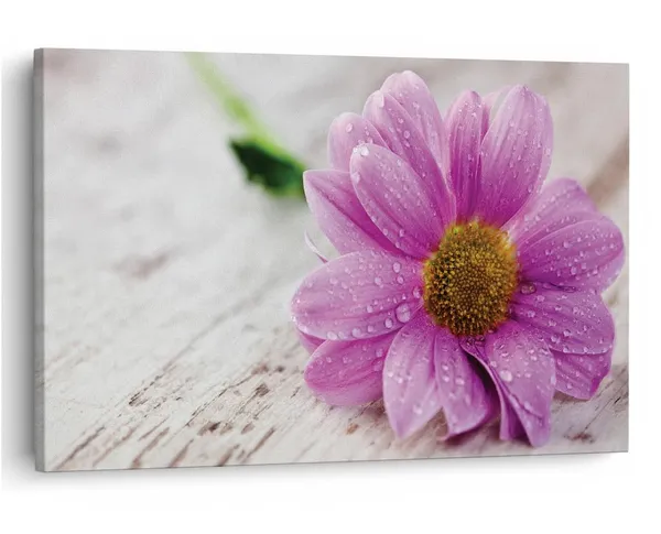 Multicolor_16_X_24_Inch,_Pine_Wood_Framed_Canvas_Paintings_|_For_Home_Decor,_Ready_To_Wall_Hanging,_Premium_Painting_|_For_|_Bedroom,_Living_Room,_Office_Wall_Decoration_|_Wall_Art_Painting,_Ct1595