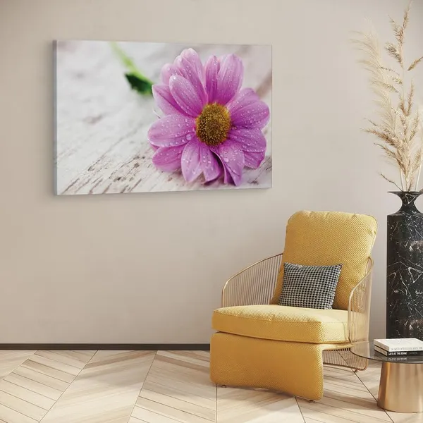 Multicolor_16_X_24_Inch,_Pine_Wood_Framed_Canvas_Paintings_|_For_Home_Decor,_Ready_To_Wall_Hanging,_Premium_Painting_|_For_|_Bedroom,_Living_Room,_Office_Wall_Decoration_|_Wall_Art_Painting,_Ct1595