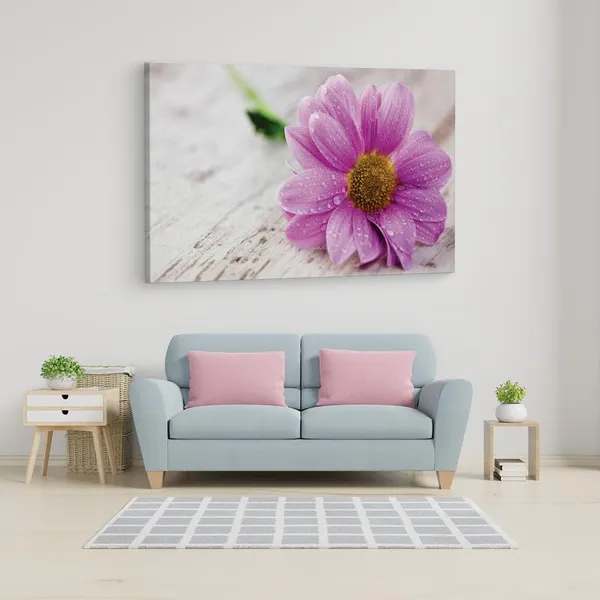 Multicolor_16_X_24_Inch,_Pine_Wood_Framed_Canvas_Paintings_|_For_Home_Decor,_Ready_To_Wall_Hanging,_Premium_Painting_|_For_|_Bedroom,_Living_Room,_Office_Wall_Decoration_|_Wall_Art_Painting,_Ct1595