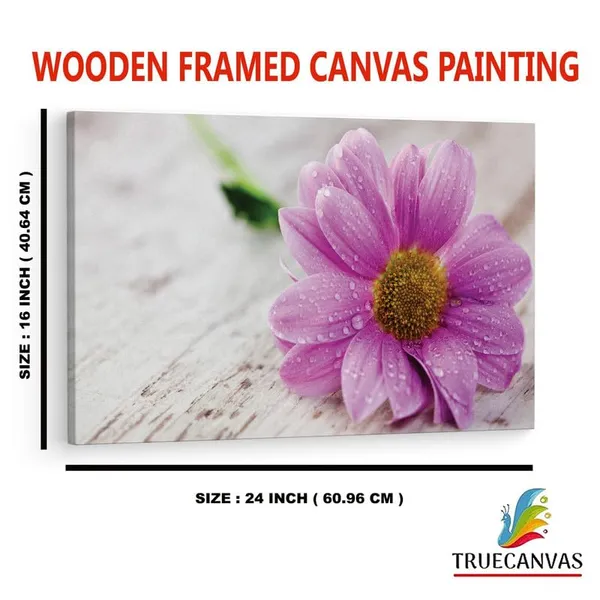 Multicolor_16_X_24_Inch,_Pine_Wood_Framed_Canvas_Paintings_|_For_Home_Decor,_Ready_To_Wall_Hanging,_Premium_Painting_|_For_|_Bedroom,_Living_Room,_Office_Wall_Decoration_|_Wall_Art_Painting,_Ct1595
