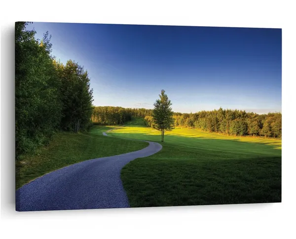 Multicolor_16_X_24_Inch,_Pine_Wood_Framed_Canvas_Paintings_|_For_Home_Decor,_Ready_To_Wall_Hanging,_Premium_Painting_|_For_|_Bedroom,_Living_Room,_Office_Wall_Decoration_|_Wall_Art_Painting,_Ct1598