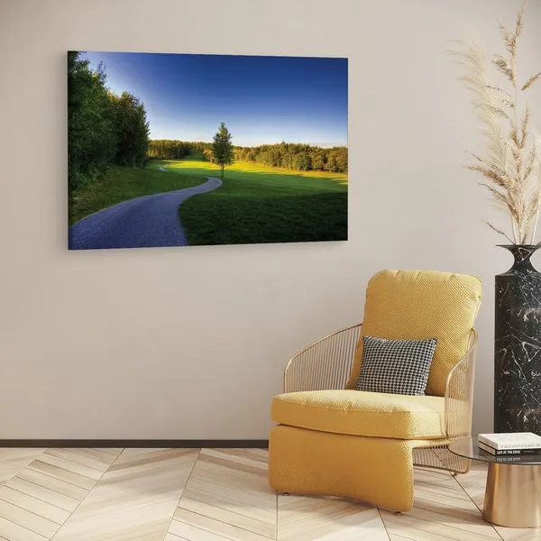 Multicolor_16_X_24_Inch,_Pine_Wood_Framed_Canvas_Paintings_|_For_Home_Decor,_Ready_To_Wall_Hanging,_Premium_Painting_|_For_|_Bedroom,_Living_Room,_Office_Wall_Decoration_|_Wall_Art_Painting,_Ct1598