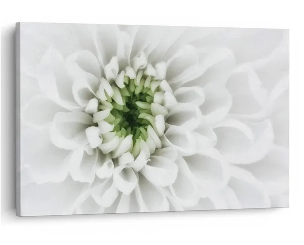 Multicolor_16_X_24_Inch,_Pine_Wood_Framed_Canvas_Paintings_|_For_Home_Decor,_Ready_To_Wall_Hanging,_Premium_Painting_|_For_|_Bedroom,_Living_Room,_Office_Wall_Decoration_|_Wall_Art_Painting,_Ct1600