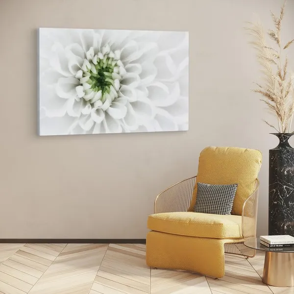 Multicolor_16_X_24_Inch,_Pine_Wood_Framed_Canvas_Paintings_|_For_Home_Decor,_Ready_To_Wall_Hanging,_Premium_Painting_|_For_|_Bedroom,_Living_Room,_Office_Wall_Decoration_|_Wall_Art_Painting,_Ct1600
