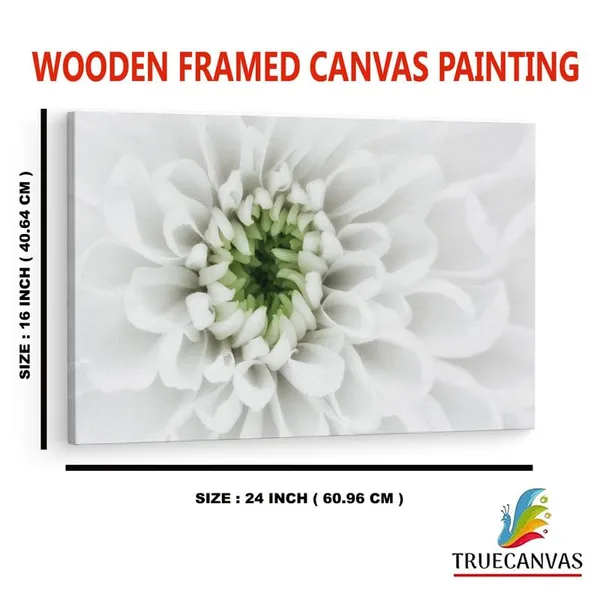 Multicolor_16_X_24_Inch,_Pine_Wood_Framed_Canvas_Paintings_|_For_Home_Decor,_Ready_To_Wall_Hanging,_Premium_Painting_|_For_|_Bedroom,_Living_Room,_Office_Wall_Decoration_|_Wall_Art_Painting,_Ct1600