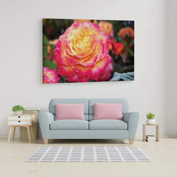 Multicolor_16_X_24_Inch,_Pine_Wood_Framed_Canvas_Paintings_|_For_Home_Decor,_Ready_To_Wall_Hanging,_Premium_Painting_|_For_|_Bedroom,_Living_Room,_Office_Wall_Decoration_|_Wall_Art_Painting,_Ct1602
