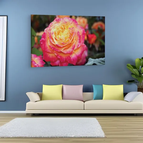Multicolor_16_X_24_Inch,_Pine_Wood_Framed_Canvas_Paintings_|_For_Home_Decor,_Ready_To_Wall_Hanging,_Premium_Painting_|_For_|_Bedroom,_Living_Room,_Office_Wall_Decoration_|_Wall_Art_Painting,_Ct1602