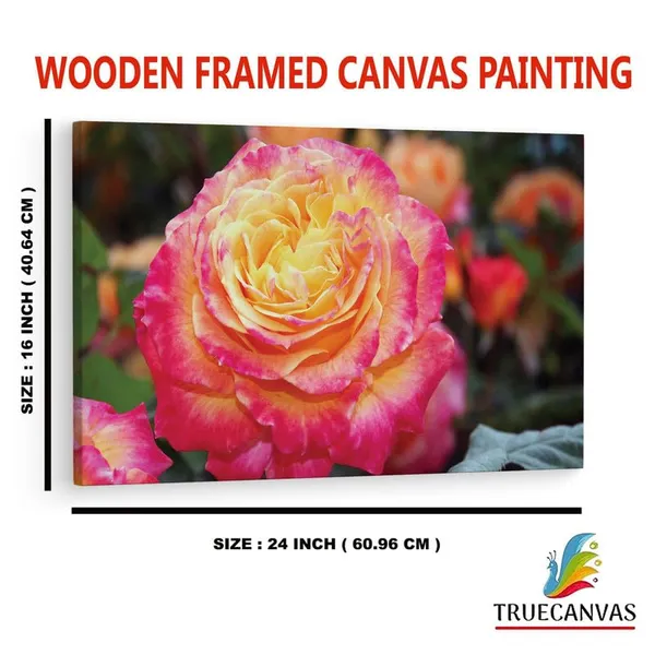 Multicolor_16_X_24_Inch,_Pine_Wood_Framed_Canvas_Paintings_|_For_Home_Decor,_Ready_To_Wall_Hanging,_Premium_Painting_|_For_|_Bedroom,_Living_Room,_Office_Wall_Decoration_|_Wall_Art_Painting,_Ct1602