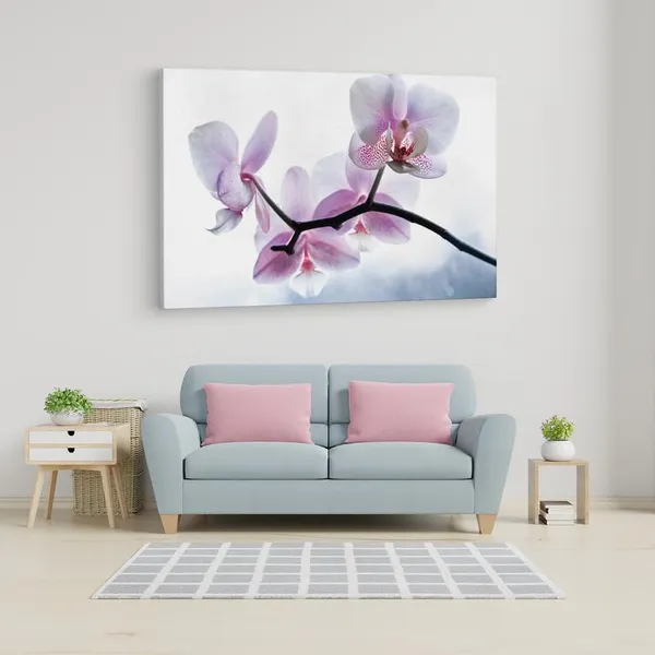 Multicolor_16_X_24_Inch,_Pine_Wood_Framed_Canvas_Paintings_|_For_Home_Decor,_Ready_To_Wall_Hanging,_Premium_Painting_|_For_|_Bedroom,_Living_Room,_Office_Wall_Decoration_|_Wall_Art_Painting,_Ct1604