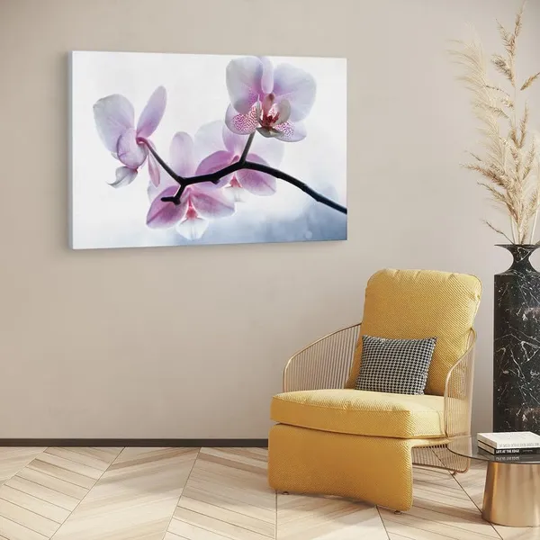 Multicolor_16_X_24_Inch,_Pine_Wood_Framed_Canvas_Paintings_|_For_Home_Decor,_Ready_To_Wall_Hanging,_Premium_Painting_|_For_|_Bedroom,_Living_Room,_Office_Wall_Decoration_|_Wall_Art_Painting,_Ct1604
