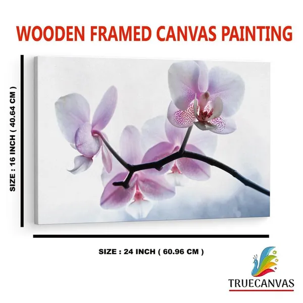 Multicolor_16_X_24_Inch,_Pine_Wood_Framed_Canvas_Paintings_|_For_Home_Decor,_Ready_To_Wall_Hanging,_Premium_Painting_|_For_|_Bedroom,_Living_Room,_Office_Wall_Decoration_|_Wall_Art_Painting,_Ct1604