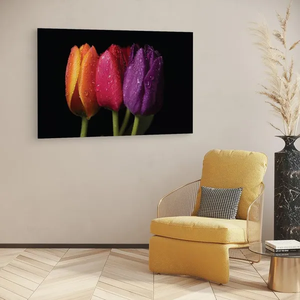 Multicolor_16_X_24_Inch,_Pine_Wood_Framed_Canvas_Paintings_|_For_Home_Decor,_Ready_To_Wall_Hanging,_Premium_Painting_|_For_|_Bedroom,_Living_Room,_Office_Wall_Decoration_|_Wall_Art_Painting,_Ct1605