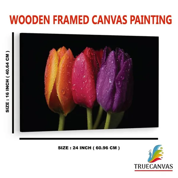 Multicolor_16_X_24_Inch,_Pine_Wood_Framed_Canvas_Paintings_|_For_Home_Decor,_Ready_To_Wall_Hanging,_Premium_Painting_|_For_|_Bedroom,_Living_Room,_Office_Wall_Decoration_|_Wall_Art_Painting,_Ct1605