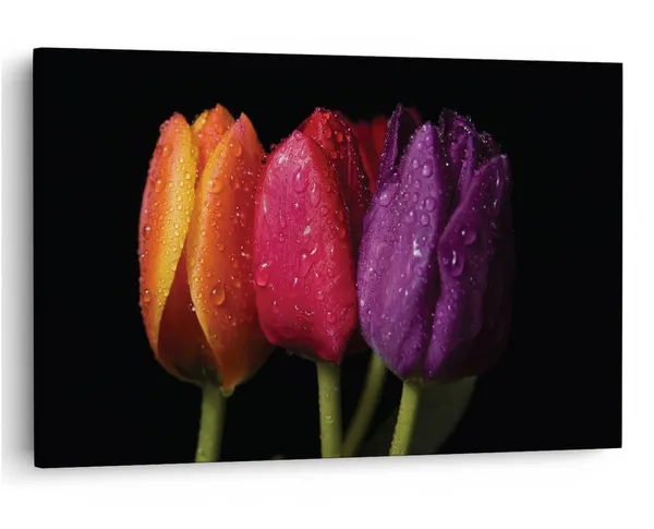 Multicolor_16_X_24_Inch,_Pine_Wood_Framed_Canvas_Paintings_|_For_Home_Decor,_Ready_To_Wall_Hanging,_Premium_Painting_|_For_|_Bedroom,_Living_Room,_Office_Wall_Decoration_|_Wall_Art_Painting,_Ct1605