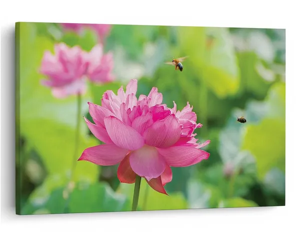Multicolor_16_X_24_Inch,_Pine_Wood_Framed_Canvas_Paintings_|_For_Home_Decor,_Ready_To_Wall_Hanging,_Premium_Painting_|_For_|_Bedroom,_Living_Room,_Office_Wall_Decoration_|_Wall_Art_Painting,_Ct1608