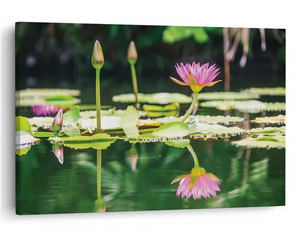 Multicolor_16_X_24_Inch,_Pine_Wood_Framed_Canvas_Paintings_|_For_Home_Decor,_Ready_To_Wall_Hanging,_Premium_Painting_|_For_|_Bedroom,_Living_Room,_Office_Wall_Decoration_|_Wall_Art_Painting,_Ct1609