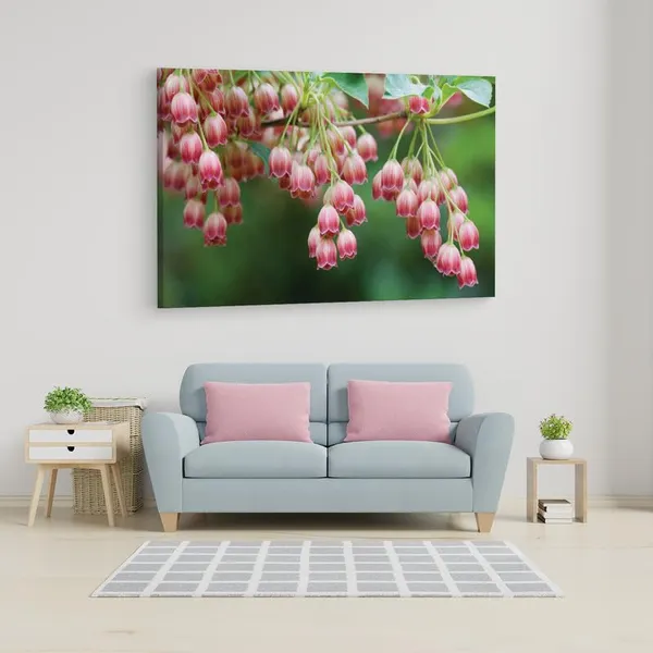 Multicolor_16_X_24_Inch,_Pine_Wood_Framed_Canvas_Paintings_|_For_Home_Decor,_Ready_To_Wall_Hanging,_Premium_Painting_|_For_|_Bedroom,_Living_Room,_Office_Wall_Decoration_|_Wall_Art_Painting,_Ct1610