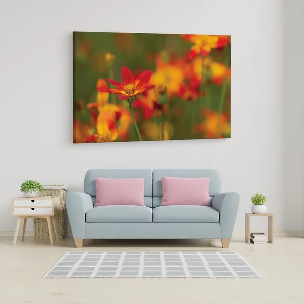 Multicolor_16_X_24_Inch,_Pine_Wood_Framed_Canvas_Paintings_|_For_Home_Decor,_Ready_To_Wall_Hanging,_Premium_Painting_|_For_|_Bedroom,_Living_Room,_Office_Wall_Decoration_|_Wall_Art_Painting,_Ct1611