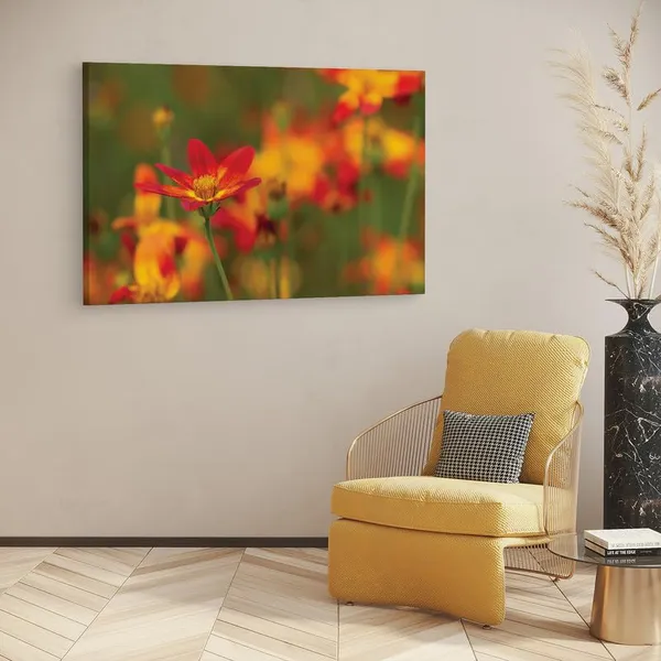 Multicolor_16_X_24_Inch,_Pine_Wood_Framed_Canvas_Paintings_|_For_Home_Decor,_Ready_To_Wall_Hanging,_Premium_Painting_|_For_|_Bedroom,_Living_Room,_Office_Wall_Decoration_|_Wall_Art_Painting,_Ct1611