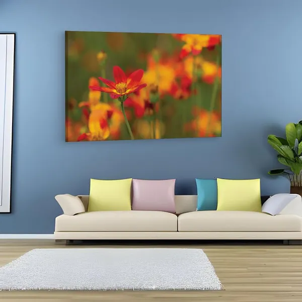 Multicolor_16_X_24_Inch,_Pine_Wood_Framed_Canvas_Paintings_|_For_Home_Decor,_Ready_To_Wall_Hanging,_Premium_Painting_|_For_|_Bedroom,_Living_Room,_Office_Wall_Decoration_|_Wall_Art_Painting,_Ct1611