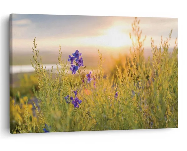 Multicolor_16_X_24_Inch,_Pine_Wood_Framed_Canvas_Paintings_|_For_Home_Decor,_Ready_To_Wall_Hanging,_Premium_Painting_|_For_|_Bedroom,_Living_Room,_Office_Wall_Decoration_|_Wall_Art_Painting,_Ct1612