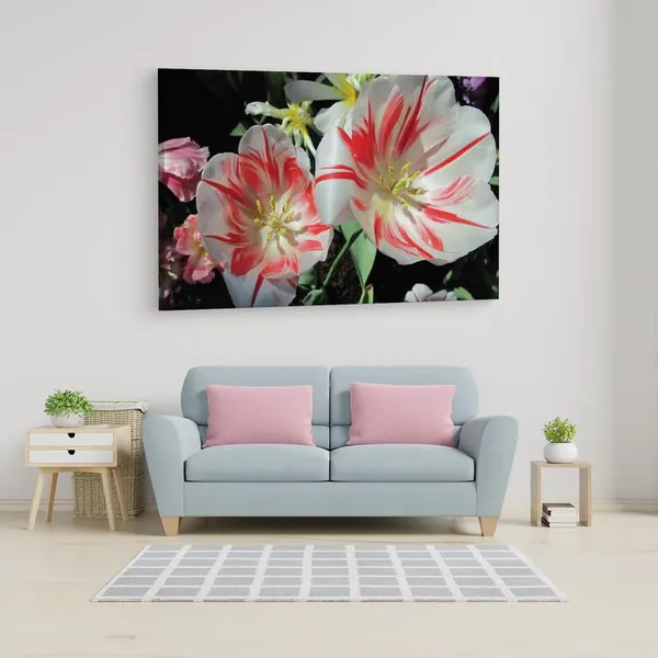 Multicolor_16_X_24_Inch,_Pine_Wood_Framed_Canvas_Paintings_|_For_Home_Decor,_Ready_To_Wall_Hanging,_Premium_Painting_|_For_|_Bedroom,_Living_Room,_Office_Wall_Decoration_|_Wall_Art_Painting,_Ct1614