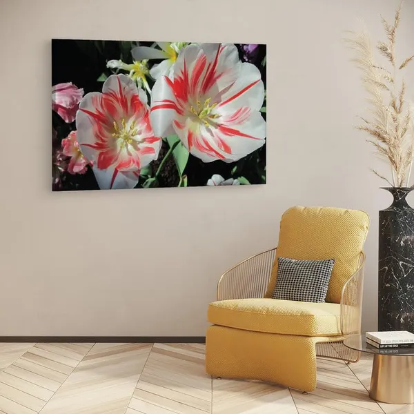 Multicolor_16_X_24_Inch,_Pine_Wood_Framed_Canvas_Paintings_|_For_Home_Decor,_Ready_To_Wall_Hanging,_Premium_Painting_|_For_|_Bedroom,_Living_Room,_Office_Wall_Decoration_|_Wall_Art_Painting,_Ct1614