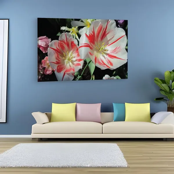 Multicolor_16_X_24_Inch,_Pine_Wood_Framed_Canvas_Paintings_|_For_Home_Decor,_Ready_To_Wall_Hanging,_Premium_Painting_|_For_|_Bedroom,_Living_Room,_Office_Wall_Decoration_|_Wall_Art_Painting,_Ct1614