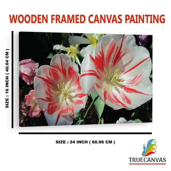 Multicolor_16_X_24_Inch,_Pine_Wood_Framed_Canvas_Paintings_|_For_Home_Decor,_Ready_To_Wall_Hanging,_Premium_Painting_|_For_|_Bedroom,_Living_Room,_Office_Wall_Decoration_|_Wall_Art_Painting,_Ct1614