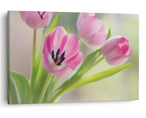 Multicolor_16_X_24_Inch,_Pine_Wood_Framed_Canvas_Paintings_|_For_Home_Decor,_Ready_To_Wall_Hanging,_Premium_Painting_|_For_|_Bedroom,_Living_Room,_Office_Wall_Decoration_|_Wall_Art_Painting,_Ct1615