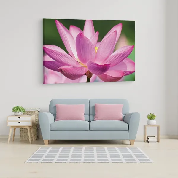 Multicolor_16_X_24_Inch,_Pine_Wood_Framed_Canvas_Paintings_|_For_Home_Decor,_Ready_To_Wall_Hanging,_Premium_Painting_|_For_|_Bedroom,_Living_Room,_Office_Wall_Decoration_|_Wall_Art_Painting,_Ct1616