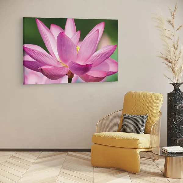 Multicolor_16_X_24_Inch,_Pine_Wood_Framed_Canvas_Paintings_|_For_Home_Decor,_Ready_To_Wall_Hanging,_Premium_Painting_|_For_|_Bedroom,_Living_Room,_Office_Wall_Decoration_|_Wall_Art_Painting,_Ct1616