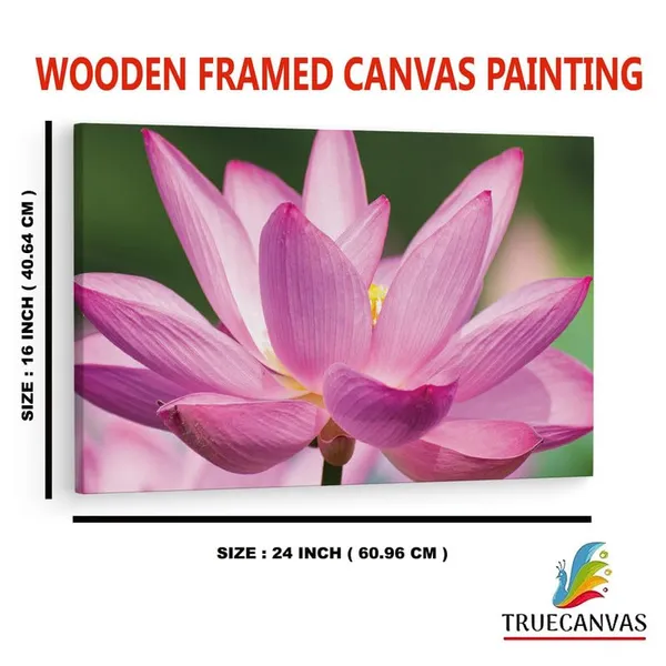 Multicolor_16_X_24_Inch,_Pine_Wood_Framed_Canvas_Paintings_|_For_Home_Decor,_Ready_To_Wall_Hanging,_Premium_Painting_|_For_|_Bedroom,_Living_Room,_Office_Wall_Decoration_|_Wall_Art_Painting,_Ct1616