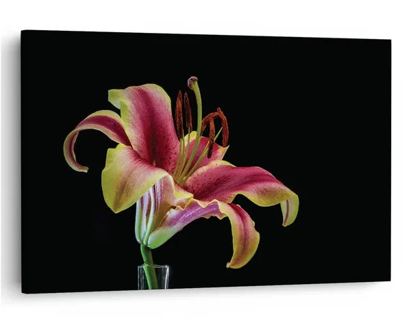 Multicolor_16_X_24_Inch,_Pine_Wood_Framed_Canvas_Paintings_|_For_Home_Decor,_Ready_To_Wall_Hanging,_Premium_Painting_|_For_|_Bedroom,_Living_Room,_Office_Wall_Decoration_|_Wall_Art_Painting,_Ct1617